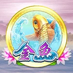 金鱼