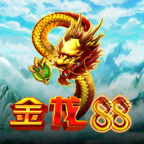 金龙88