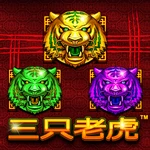 三只老虎