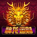 神龙运财