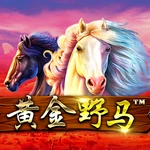 黄金野马