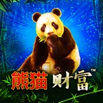 熊猫财富