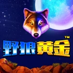 野狼黄金