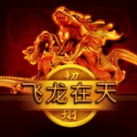 飞龙在天
